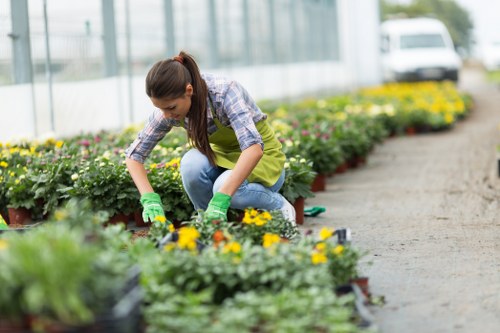 A woman working in a greenhouse or garden centre in Hounslow, positioned among several potted flowering plants, including yellow and purple blooms, with a gravel pathway leading through the space. She is wearing a plaid shirt, jeans, and green gardening gloves, crouching down to tend to the plants with a focused expression. In the background, there are rows of more potted plants and a metal structure with glass panels that allow natural light to flood the environment. The outdoor garden area depicts a well-maintained space with neatly arranged flower beds, vibrant seasonal flowers, and lush greenery, reflecting professional gardening and landscaping services provided by Landscapers Hounslow familiar to the local area. The scene is captured in bright daylight, with a clear, slightly overcast sky, emphasizing natural tones and the variety of plant textures. This setting showcases the typical garden center environment in Hounslow, where professional gardeners and landscapers promote healthy planting and outdoor beautification, aligning well with garden maintenance and landscaping service themes.