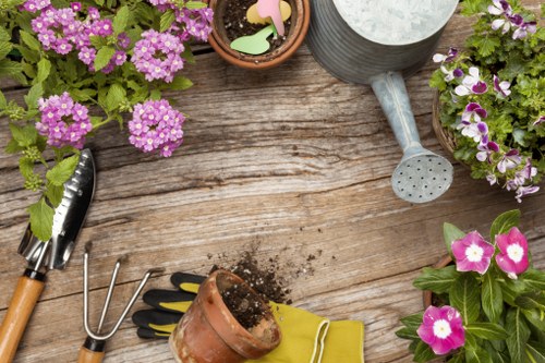 Professional garden clearance team at work in Hounslow