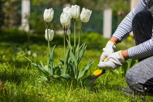 Beautiful landscaped garden showcasing professional landscaping services in Hounslow