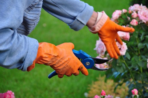 A person wearing orange gardening gloves is trimming a bush with pink flowers using small pruning shears in a well-maintained garden outdoor space with a green lawn and flower beds. The garden features a neatly edged flower bed border, lush grass, and richly coloured blooms, suggesting active gardening maintenance. The scene is set in natural daylight, indicative of fair weather, with attention to detail in the garden's plant arrangement and tidy presentation. The image captures the precision involved in garden care, relevant to landscaping and outdoor maintenance services offered by companies such as Landscapers Hounslow, serving local areas within Hounslow and surrounding postcode regions.