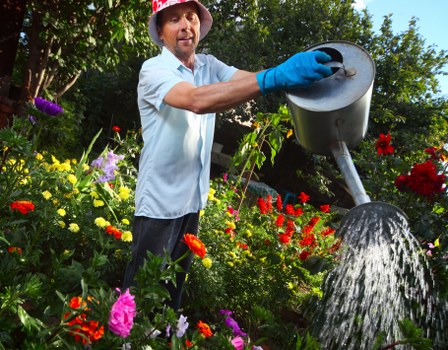 A man wearing a red hat, light blue shirt, and blue gardening gloves tends to a vibrant garden, holding a watering can in his right hand. He is watering a variety of flowering plants and shrubs with red, pink, purple, and yellow blossoms, set against a backdrop of green trees and a partly cloudy sky. The garden includes neatly arranged flower beds, with lush green foliage and healthy, colorful blooms, indicating careful maintenance. The sunlight enhances the natural tones of the plants and highlights the outdoor setting, typical of a well-kept residential or community garden area in Hounslow. The scene reflects outdoor gardening and landscaping work, consistent with services offered by landscapershounslow.co.uk, emphasizing garden care and beautification in the local area.