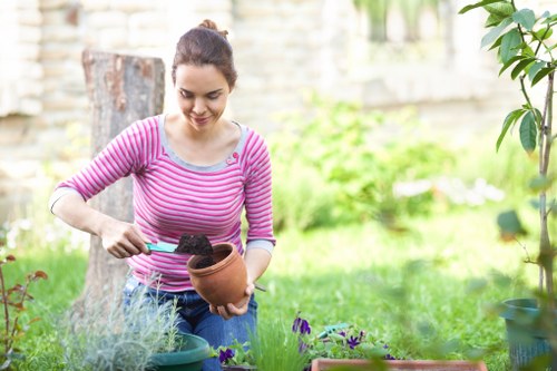 Professional gardener trimming hedges in Hounslow