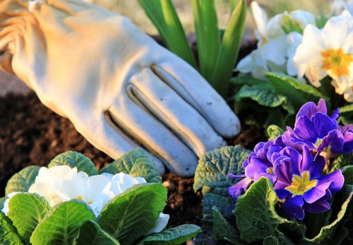 Professional garden services in Hounslow