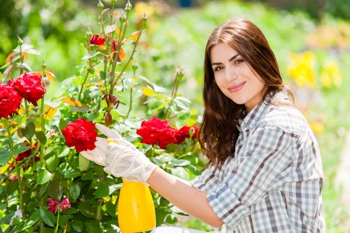 A young woman with long brown hair, wearing a light grey plaid shirt and gardening gloves, is tending to a vibrant red rose bush in a well-maintained garden. She is holding a yellow spray bottle and appears to be carefully pruning or watering the roses. The garden features lush green grass, neatly trimmed bushes, and various flowering plants with colorful blooms, creating a lively outdoor space typical of landscaping gardens in Hounslow. In the background, there are additional shrubs and trees with dense foliage, and the scene is bathed in natural daylight, suggesting a clear, sunny day. The garden layout includes a paved pathway and soft natural tones of soil and greenery, with the overall environment representing a cared-for, landscaped outdoor area indicative of professional gardening services by Landscapers Hounslow, specializing in lawn and garden maintenance within the local area.