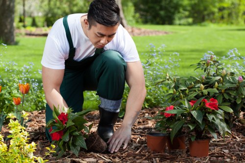 A young man tending to a garden in a lush, green outdoor space, with well-maintained flower beds featuring poinsettias and other colorful plants. He is crouched down, wearing a white t-shirt and dark green overalls, carefully planting or adjusting the plants in small terracotta pots placed on the mulch-covered soil. The background shows a neatly manicured lawn, mature trees, and additional garden borders, indicating a well-kept residential garden environment. The scene is brightly lit with natural sunlight, suggesting a clear day, and the overall setting reflects professional gardening and landscaping work typical of a garden maintenance service in Hounslow, near London, supporting local outdoor gardening experts such as those at landscapershounslow.co.uk.