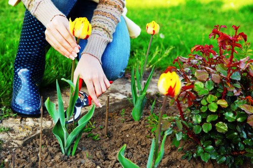 Winter garden tool maintenance in Hounslow