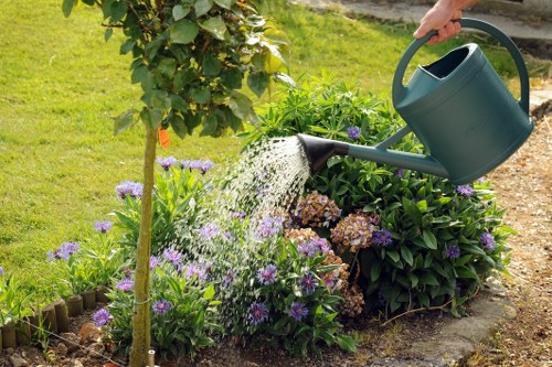 Tools used for hedge trimming in Hounslow