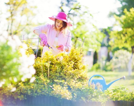 Eco-friendly tree maintenance practices