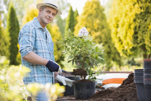 A man wearing a straw hat, light blue checkered shirt, and gardening gloves is planting a shrub in a black plastic pot in a well-maintained garden. The garden features a lush green lawn in the foreground, organized flower beds with dark soil, and a row of tall trees in the background providing shade. The scene is set on a bright, sunny day with clear weather, highlighting the vibrant natural tones of the grass, leaves, and soil. Potted plants and gardening tools are visible nearby, suggesting outdoor maintenance and landscaping activities typical of professional gardening services offered by Landscapers Hounslow in the Hounslow area, close to postcode TW3, emphasizing the connection to local outdoor garden care.