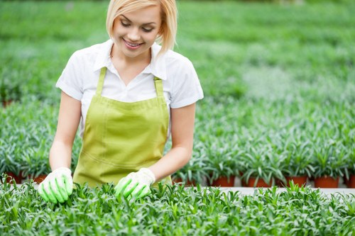 A young woman with blonde hair, wearing a white shirt, bright green gardening apron, and gloves, is tending to lush green plants in a well-organized garden nursery or outdoor space. She is smiling and carefully handling the plants, which are arranged in neat rows within small terracotta pots. The garden area features a neatly maintained lawn in the foreground, with the plants thriving and densely packed, showing healthy foliage. In the background, there are additional rows of potted plants and a hedge or shrubbery providing a natural boundary. The lighting indicates a bright, possibly sunny day, characteristic of outdoor gardening environments typical around Hounslow, suggesting a professional gardening or landscaping setting. This scene reflects a professional approach to garden maintenance, aligning with services offered by landscapershounslow.co.uk, particularly in gardening and outdoor plant care, in a typical UK outdoor garden environment.