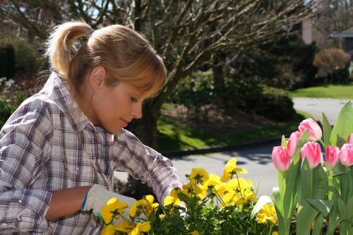 Professional landscapers working in Hounslow