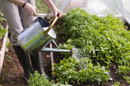 The image depicts a person watering a vegetable garden in a landscaped outdoor space, likely within Hounslow. The garden features a neatly organized flower bed with a variety of lush, green leafy plants and small shrubs, bordered by a strip of dark, rich soil. The foreground includes a well-maintained lawn with dense, green grass, contrasting with the darker soil of the flower bed. The person, partially visible, is standing on the soil, using a silver metal watering can with a wooden handle to water the plants, with water droplets visible mid-spray. The background shows an environment with natural daylight, suggesting a clear, mild weather day, enhancing the vibrant green tones of the foliage. This scene highlights typical gardening activities, suitable for outdoor lawn and flower bed maintenance, and may be indicative of services offered by Landscapers Hounslow, who specialise in gardening and landscaping projects in the region. The garden arrangement and the healthy plant growth reflect professional outdoor maintenance and garden design suited for front or back garden landscapes in the Hounslow area, within postcode TW or TW3. The overall setting emphasizes an inviting, well-kept outdoor space, ideal for gardening and lawn care services.